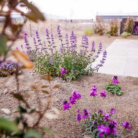 Stolpen Zeezand Recreatie Cozy Chalets المظهر الخارجي الصورة