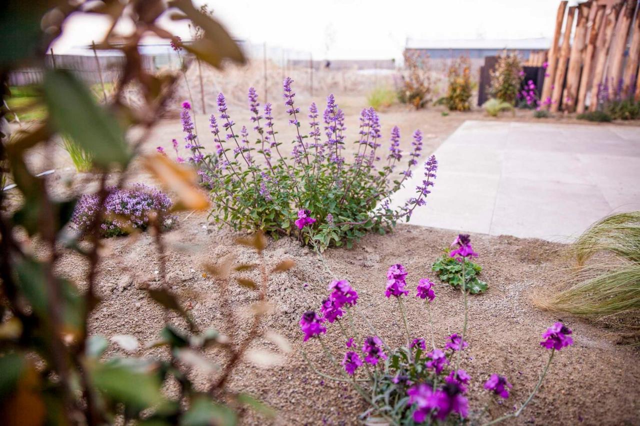 Stolpen Zeezand Recreatie Cozy Chalets المظهر الخارجي الصورة